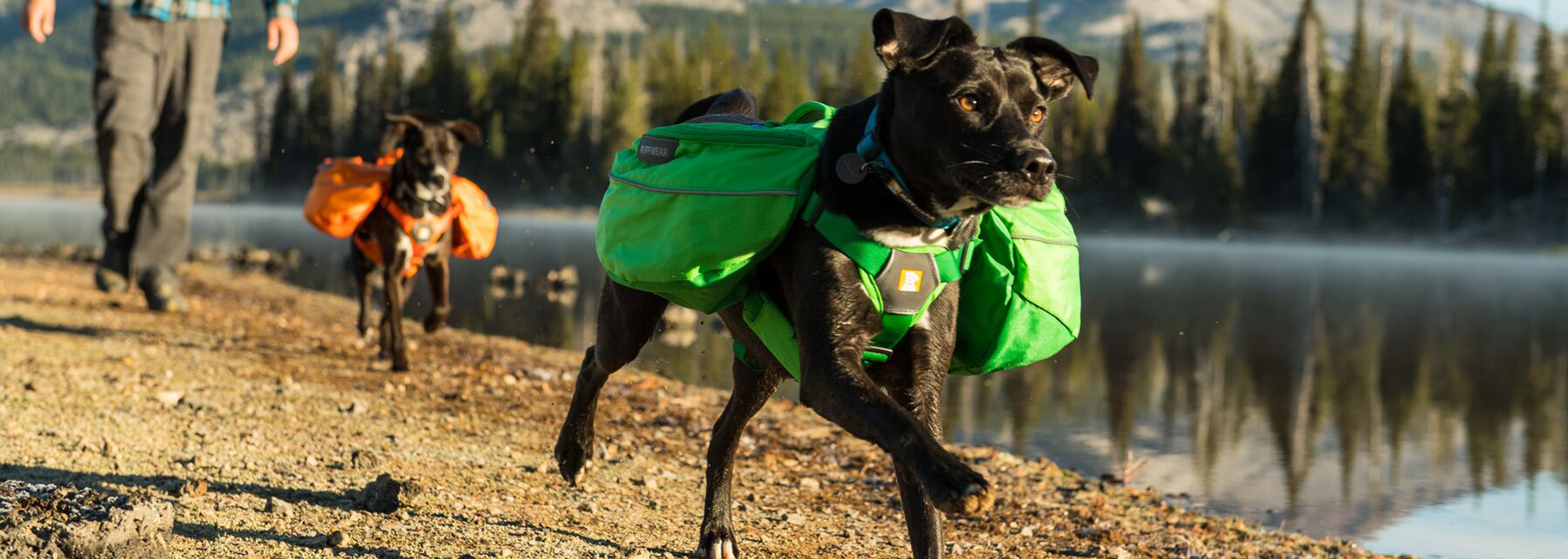 Best of performance dog gear with Ruffwear